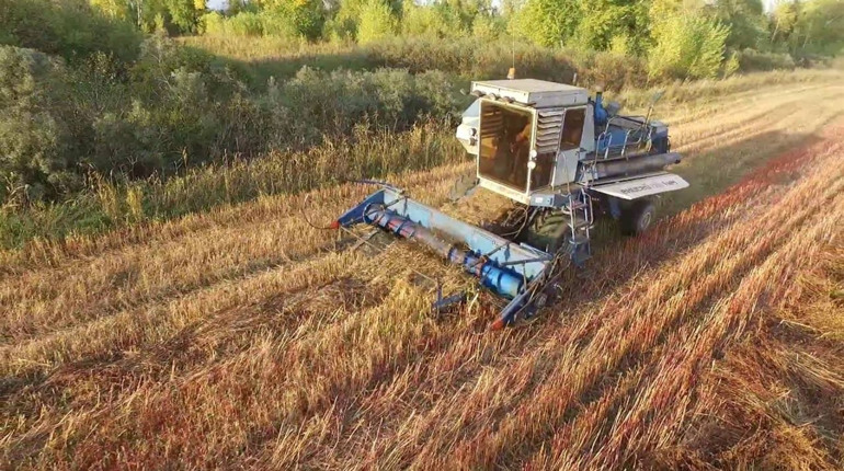 У Вараському районі жінка потрапила під комбайн
