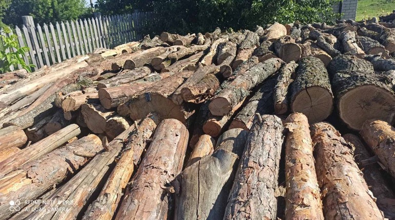 У Троїцькому лісництві доглядають за мінералізованими смугами та ведуть санітарні рубки