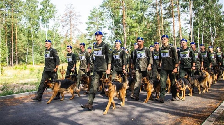 Кінологічна пара з Калинівки готується до параду з нагоди Дня незалежності України