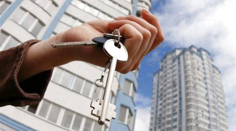 Оголошення: здається в оренду квартира у Києві