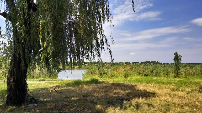 Як виглядає зараз Кінський пляж: фотофакт