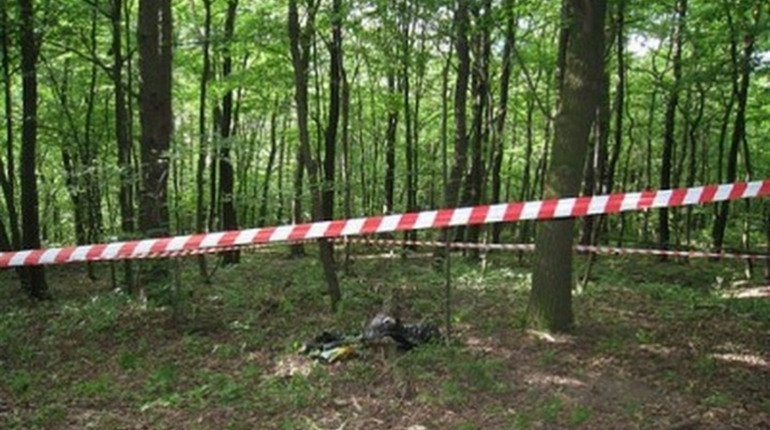 У Переяславі біля лісосмуги виявили труп чоловіка