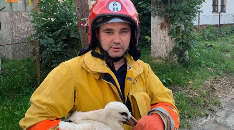 У Дрогобицькому районі рятувальники допомогли потерпілим на пожежі й повернули до гнізда лелеченя