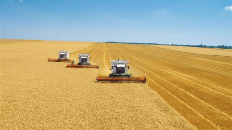 Запорізькі аграрії зібрали найбільший урожай за всі роки незалежності України