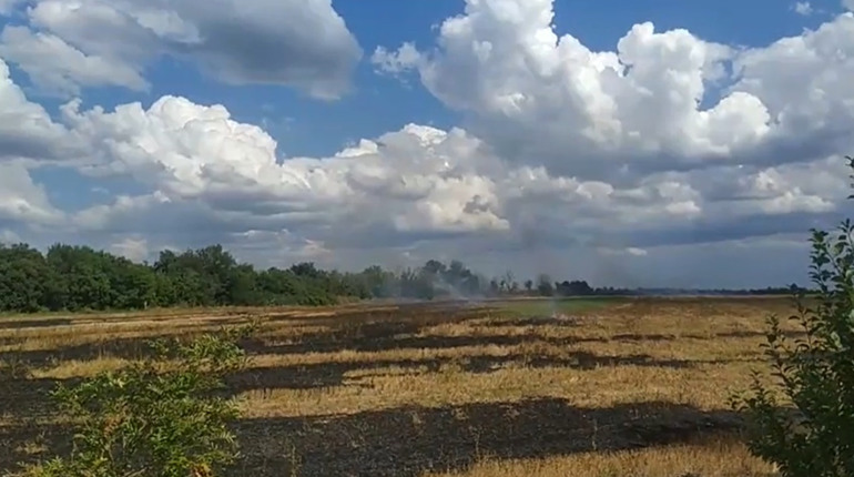 Штрафи на 150 тисяч та покарання до 10 років позбавлення волі за підпалені стерню та листя