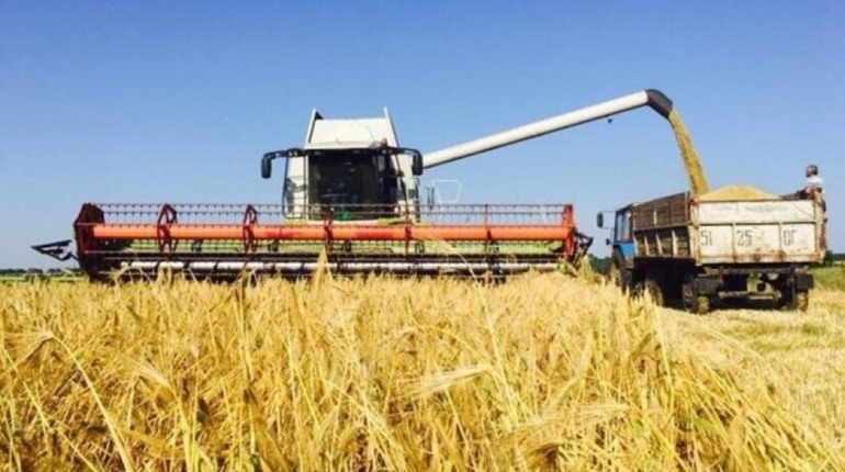 Запорізькі аграрії займають передові місця у загальноукраїнському рейтингу