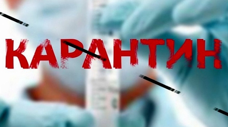Порушення карантину: скільки випадків зафіксували в Новограді за серпень