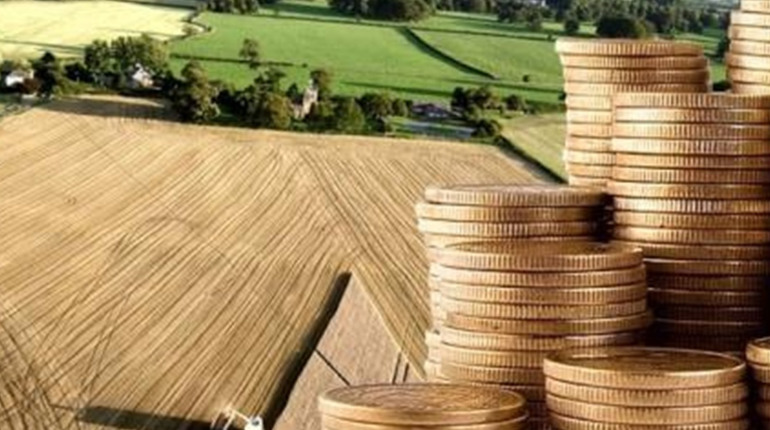 Основні етапи укладення договору купівлі-продажу земельної ділянки