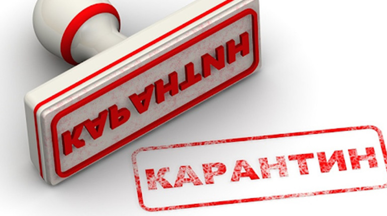 Нові карантинні обмеження: що зміниться для новоград-волинців