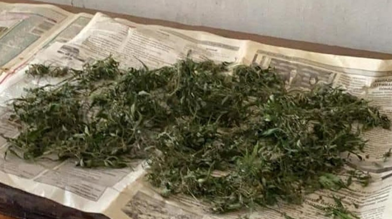 Наркотические вещества изъяли у жителя Акимовки