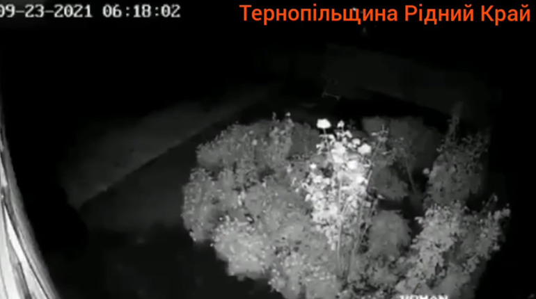 Землетрус на Чортківщині: запис з камери відеоспостереження та емоції чортків'янки (+ відео)