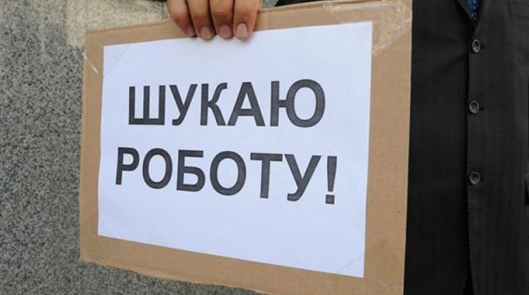 Де на Житомирщині влаштовуються на роботу і кого шукають роботодавці