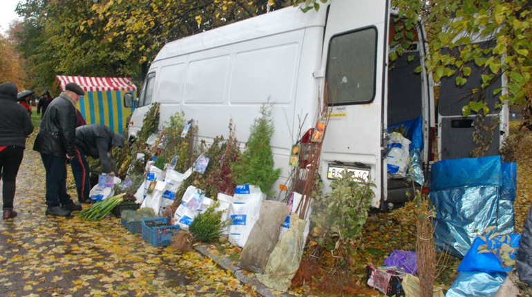 Покровський ярмарок у Шостці зібрав торговців з різних куточків України