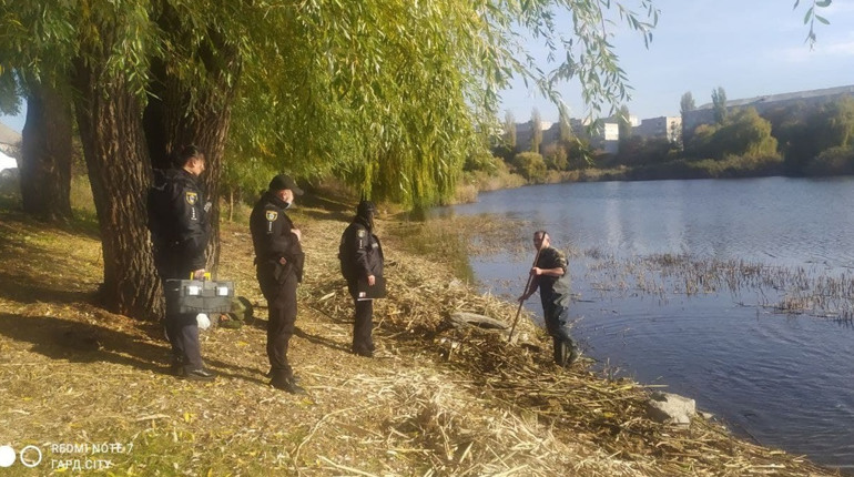 21 жовтня на фрегатівському озерці трапилася незвичайна знахідка. Фото та відео