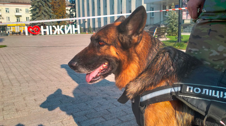 Ніжинську міську раду замінували?