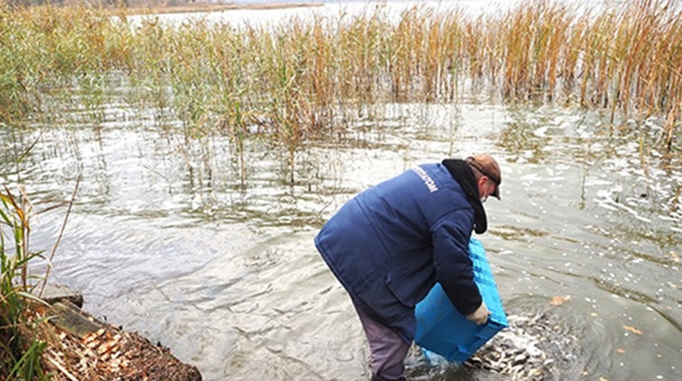 На Хмельницькій АЕС зариблюють технологічну водойму