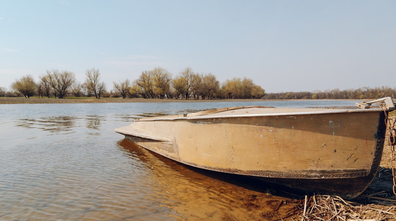На Миколаївщині у листопаді починає діяти заборона на вилов риби, а штрафи суттєво збільшено: відео