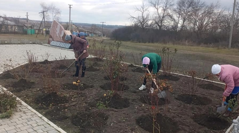 Учасники толоки готують троянди до зимівлі на квітнику біля пам'ятника загиблим воїнам
