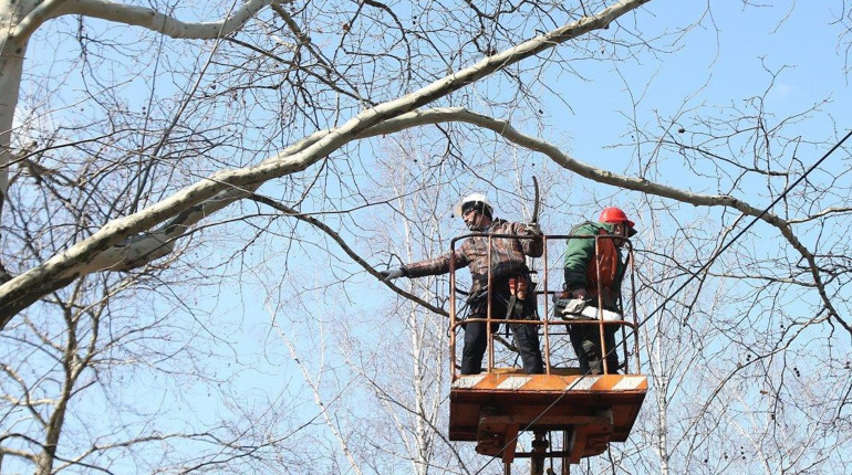 Шукають керівника на комунальне підприємство "Новоград-Волинськжитлосервіс"
