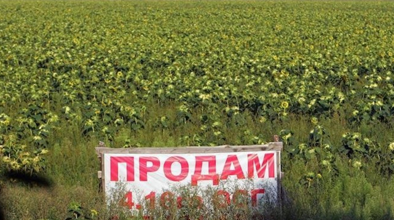 На Корюківщині є люди, які продали свої земельні паї. Чи хотіли б і ви продати та за скільки