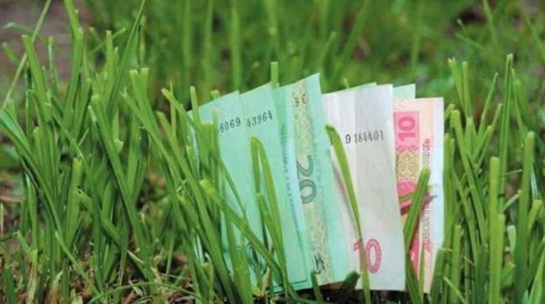 Гадячани, які мають земельні паї, можуть заплатити податок мінімум в 1,5 тис. грн з гектара
