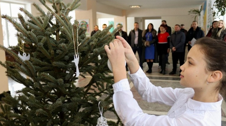 Всі ліцеї, гімназії, садочки Калуської громади отримали ялинки в горщиках