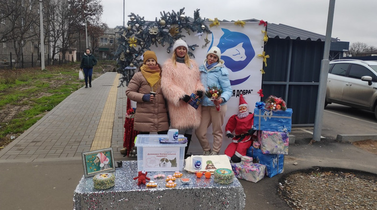 На Миколая в Первомайську відбувся благодійний аукціон на допомогу пухнастикам