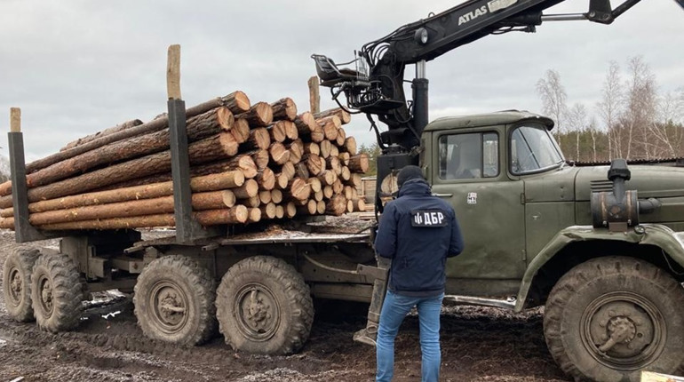На Сарненщині лісничий незаконно торгував лісом