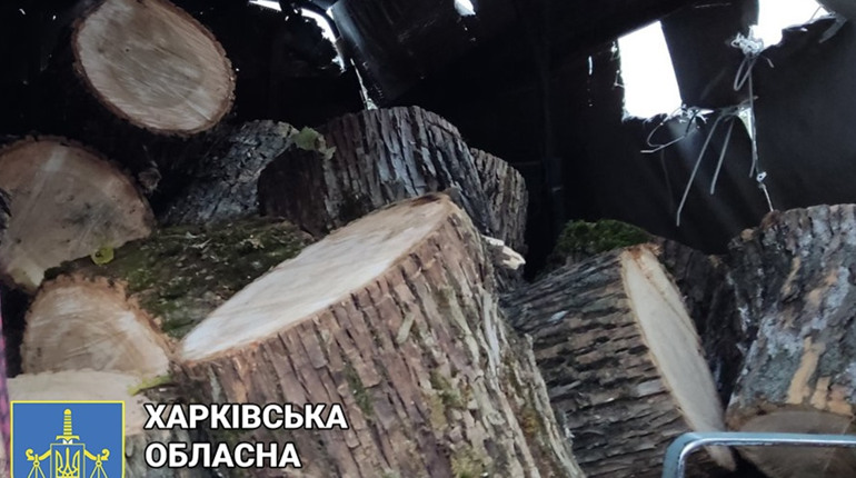 Напиляли ясенів на майже 200 тис гривень: у Лозовій чоловіка підозрюють у незаконній порубці дерев