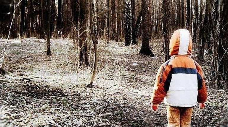 Зникла 17 лютого школярка дійшла з Жолудська до Полиць – її знайшла поліція опівночі, через 7 годин