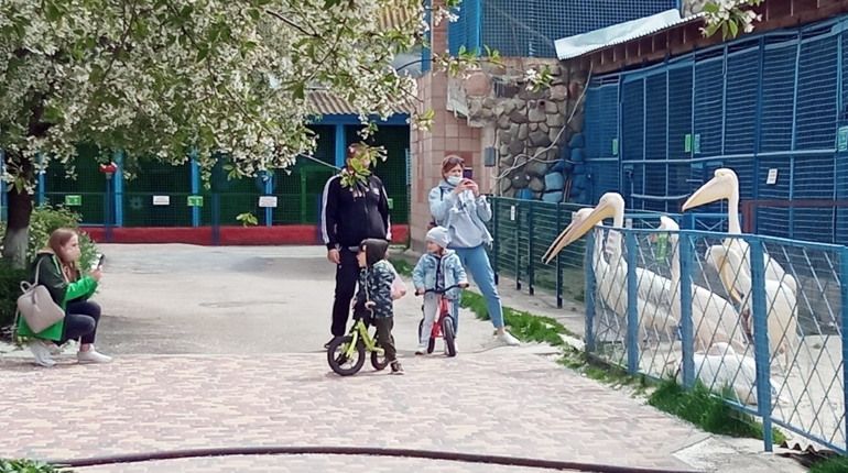 Як переживають війну мешканці Менського зоопарку