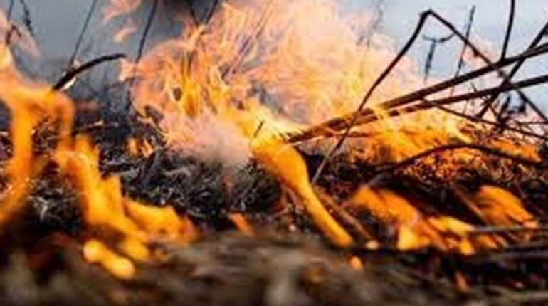 ДСНС ліквідували 28 пожеж за добу в Запорізькій області