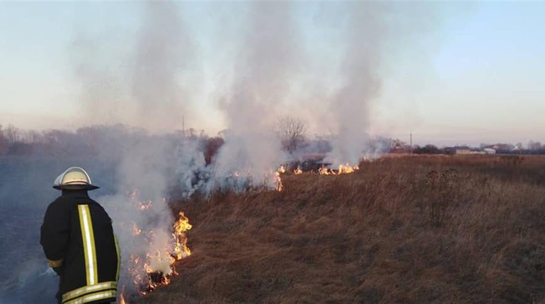 В Україні посилили відповідальність за підпал сухостою