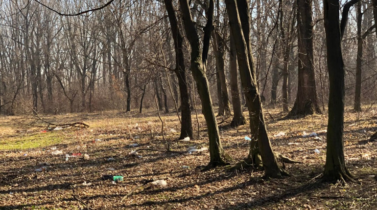 У Дрогобичі у парку Новонароджених організовують весняну толоку
