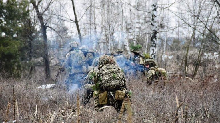 На Миколаївщині під час воєнного стану заборонене відвідування лісів