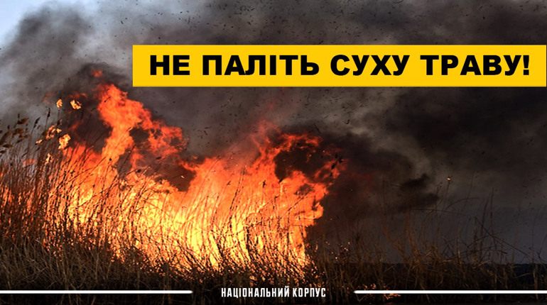 Спалювання сухостою тепер карається як диверсія