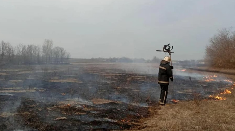 Рятувальники впіймали чоловіка, який спалював очерет