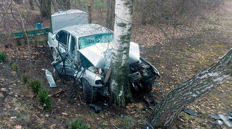 На Житомирщині п’яний водій на BMW врізався в бетонний блок, а потім дерево: постраждали четверо