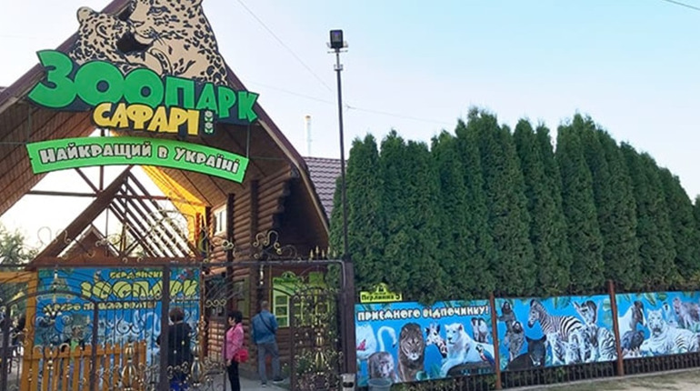 Бердянський зоопарк запустив електронні квитки, щоби нагодувати левів, альпаку та шимпанзе
