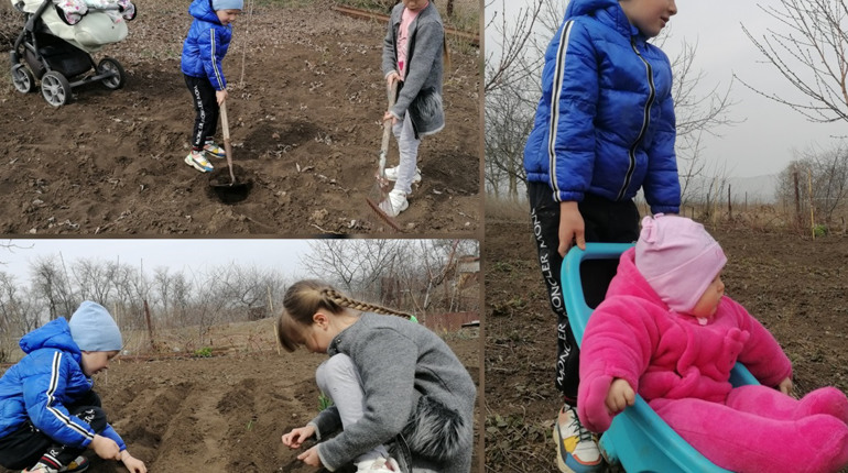 Сади перемоги. Як українці повертаються до роботи в городах, і навіщо вони це роблять