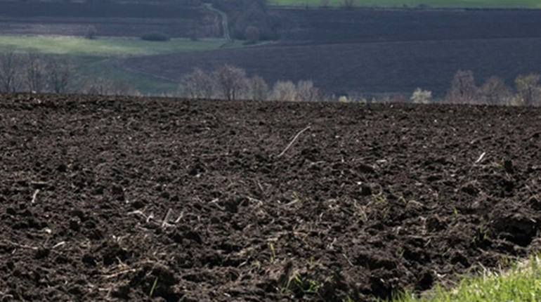 У Нетішині для ведення сільгоспробіт безплатно передадуть у тимчасове користування 4 ділянки