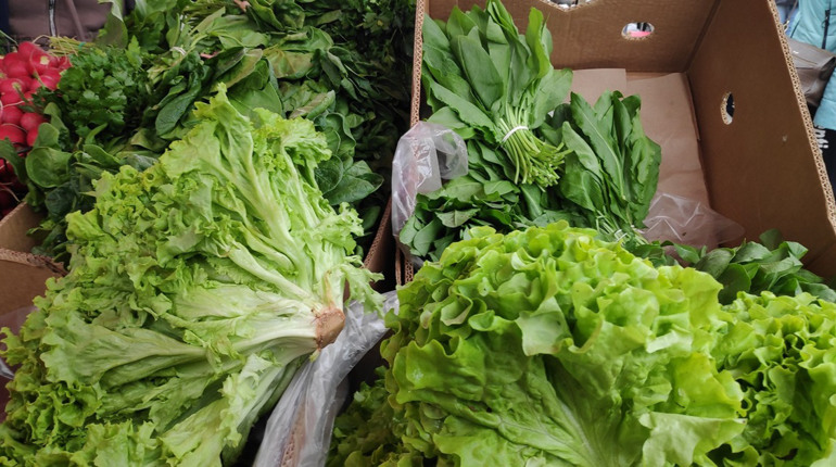 Багато свіжої городини та здешевшання деяких продуктів: весна на ринку Первомайська триває