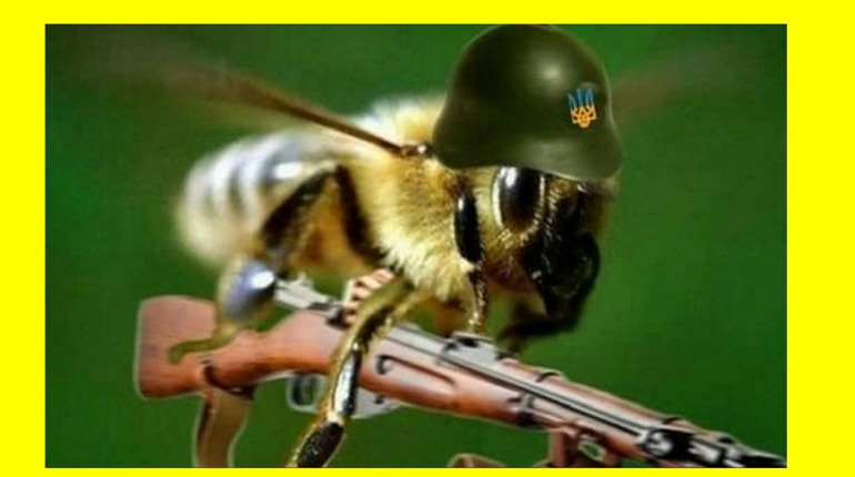 На Ніжинщині окупанти танками проти пасіки воювали.