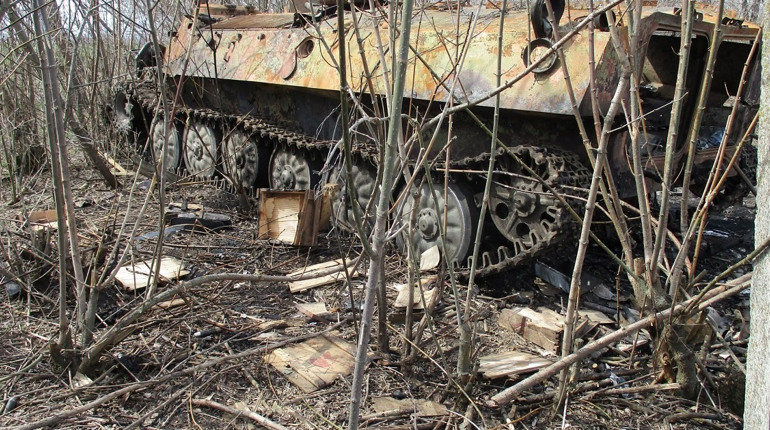 У бік Гуляйполя почався рух російських військ — Арестович