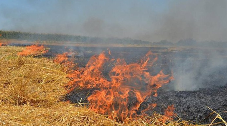 У Подільському районі паліїв трави прирівняють до диверсантів