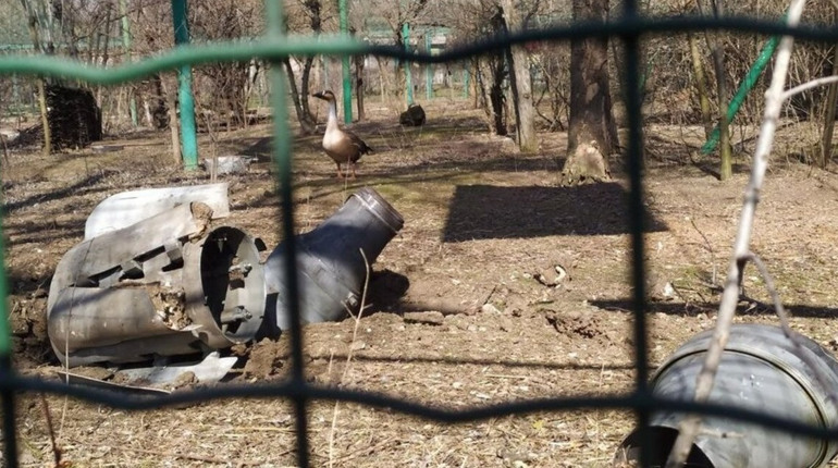 Рахуємо, які збитки від війни мають постраждалі заповідні території та зоопарки України