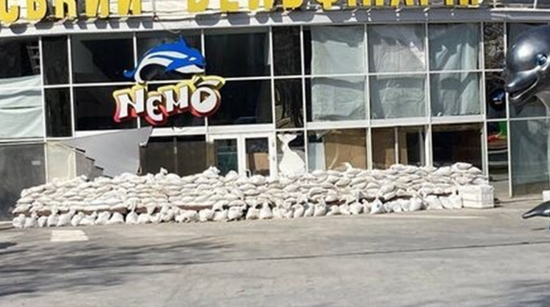 Одеський дельфінарій прийме "морських переселенців" з Харкова. Кошти на евакуацію збирали небайдужі