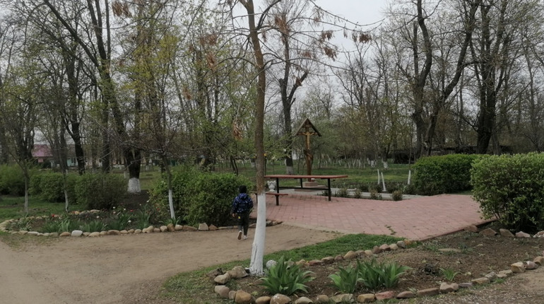 Війна не приборкала бажання створювати красу. Як у Повстанському ґаздували та оновлювали квітники