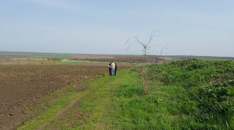 У Лисій Горі на Первомайщині переорали озимі: земельний конфлікт