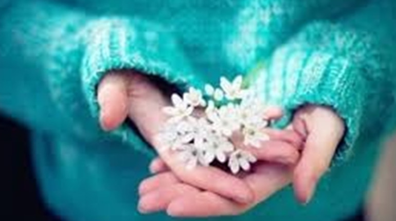 У бібліотеці працює «Насіннєва скарбниця». Можна поділитися своїм насінням з іншими, а ще обміняти